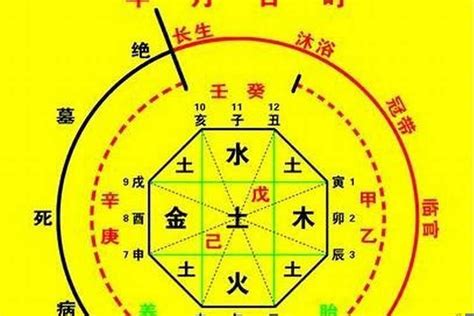 八字五行命盤|生辰八字算命、五行喜用神查詢（免費測算）